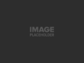 pojo-placeholder-4